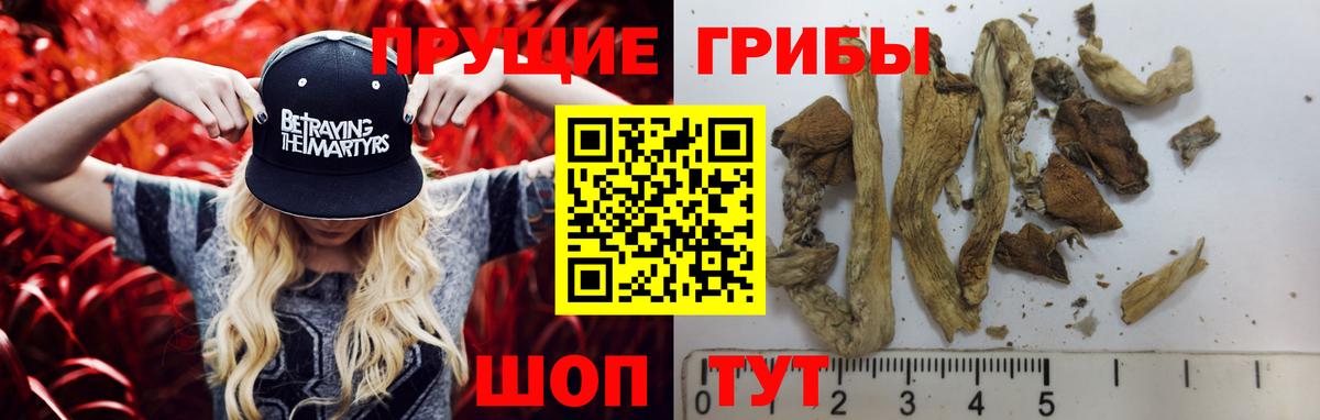 Галлюциногенные грибы Cubensis Барабинск