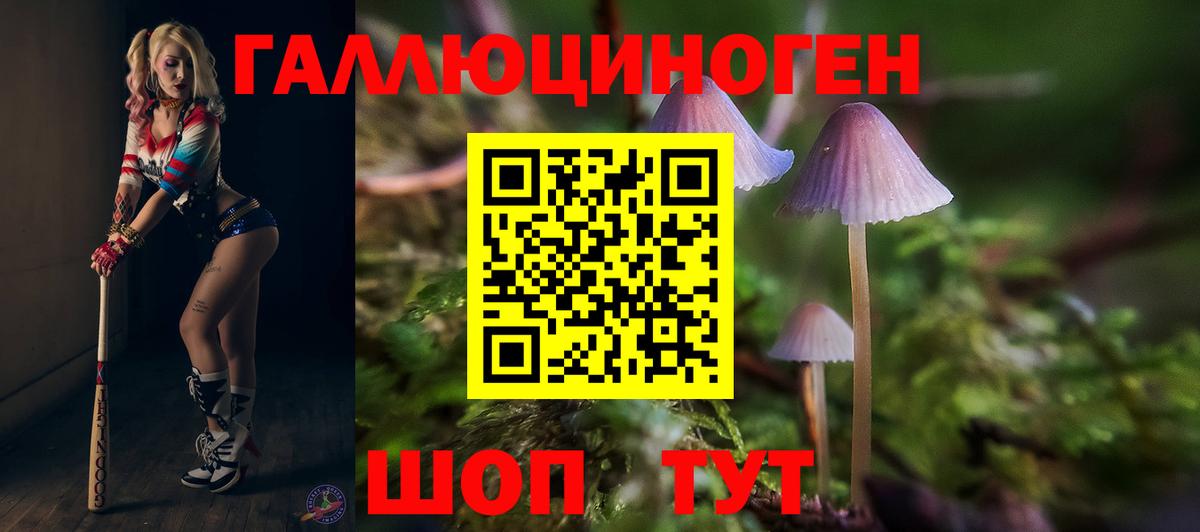 купить  сайты  Галлюциногенные грибы Cubensis  Вход с VPN  Барабинск 